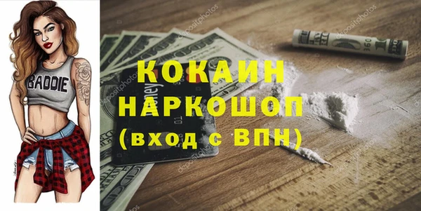 ПСИЛОЦИБИНОВЫЕ ГРИБЫ Осинники