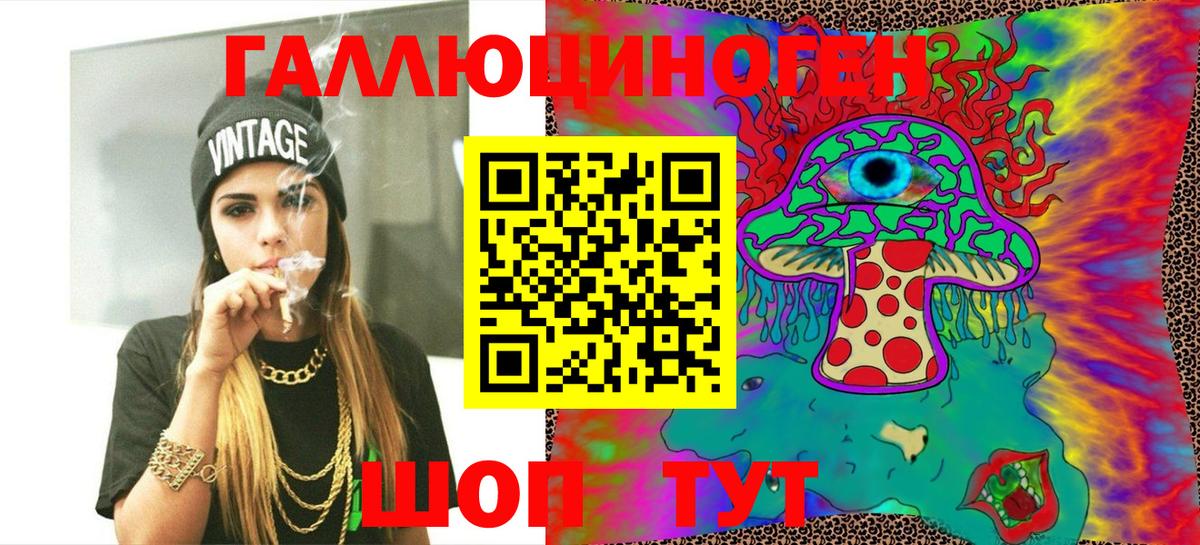 Галлюциногенные грибы Psilocybe Красногорск